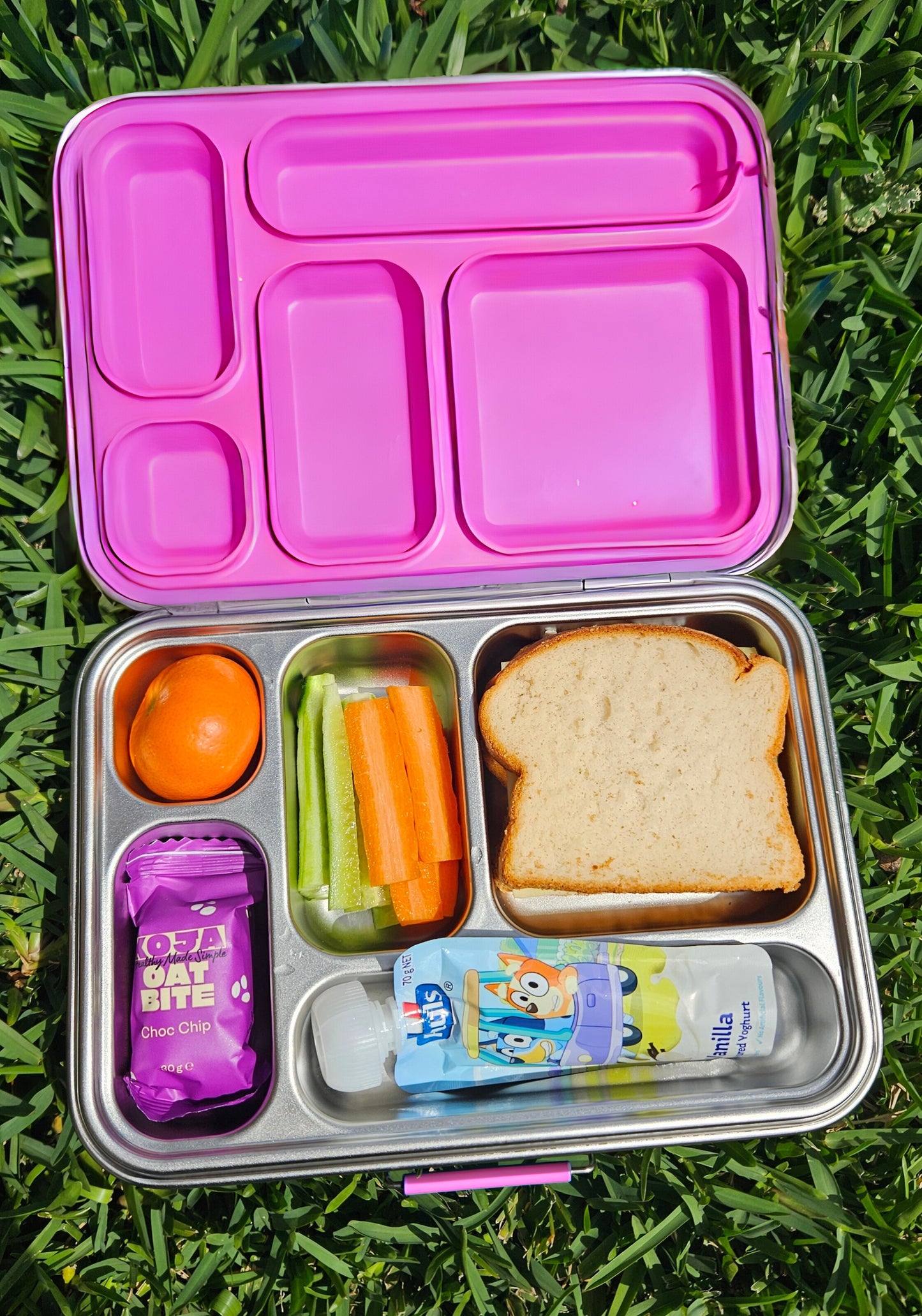 Stainless Steel Lunch Box | 5 Compartments + 2 EXTRA Pots